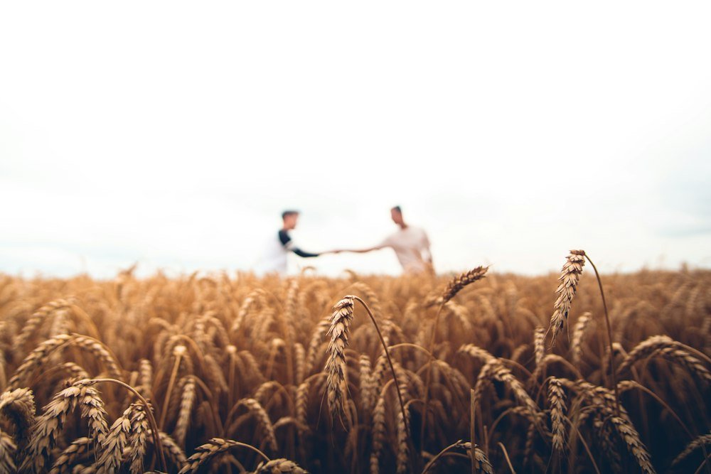 JIJA EXIM Agricultural Sourcing and Export