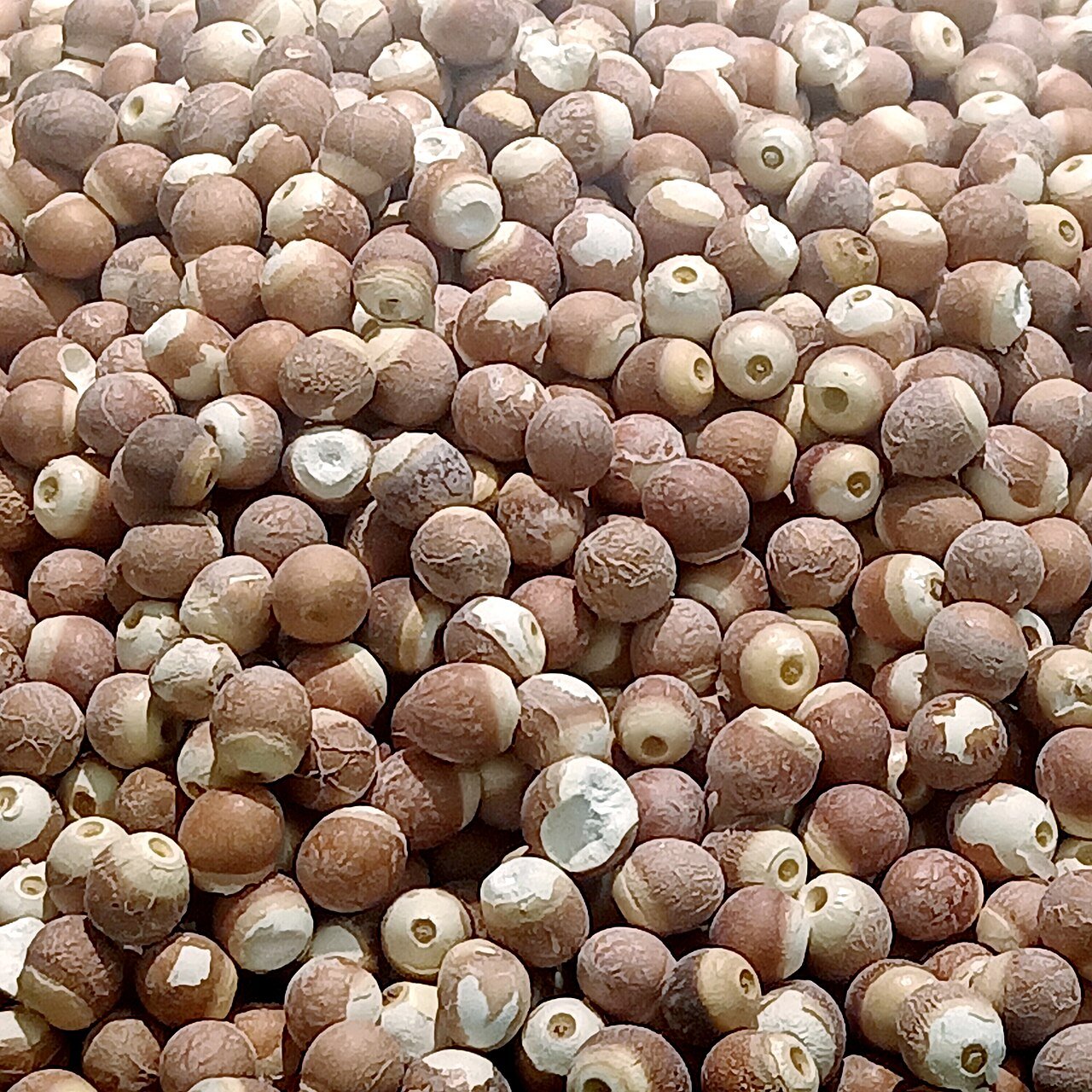 Makhana Sorting & Grading Line