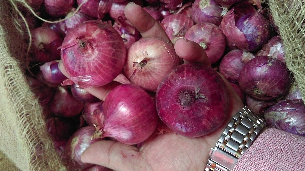 Nashik Red Onions Export Packaging