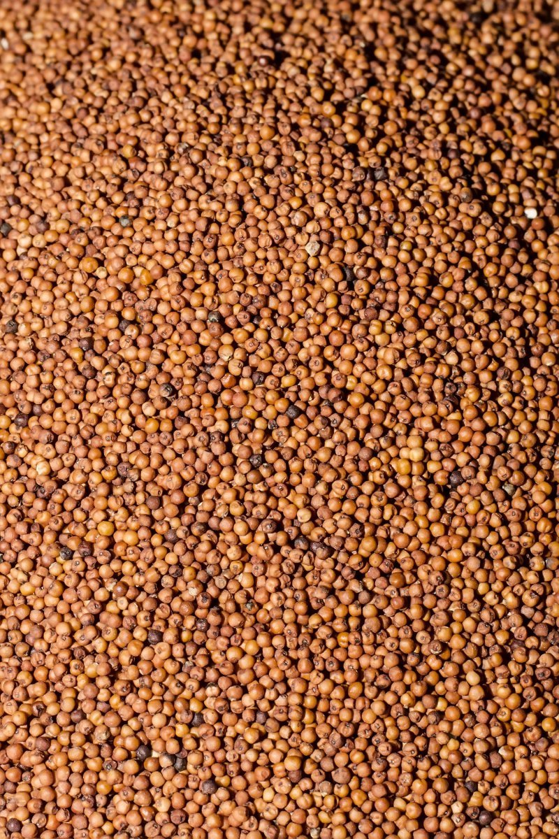 Nagali