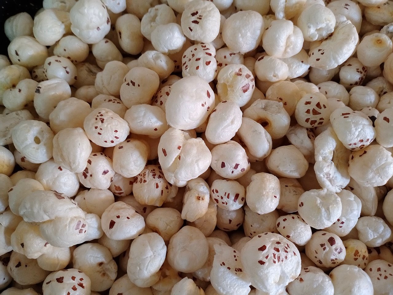 Makhana