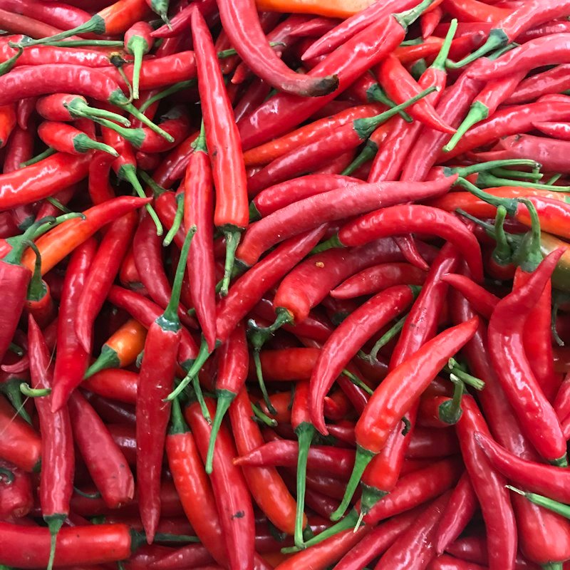 Red Chilli